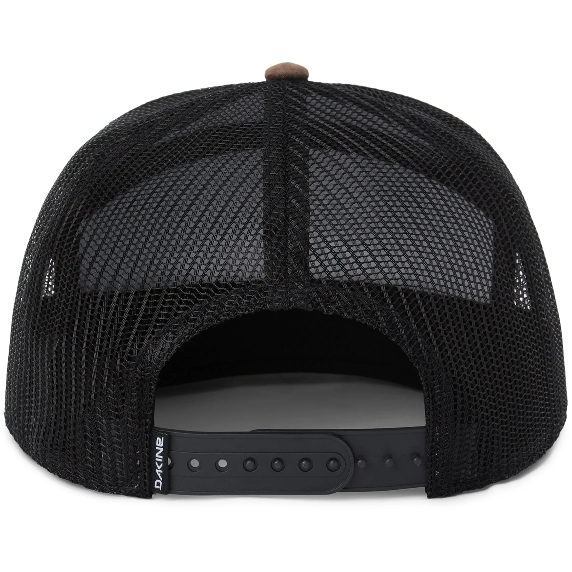 Arch Ballcap - Glacier Fish