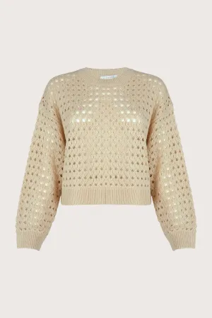 Ivory Pearl Crop Sweater | Light Texture and Timeless Elegance | Zingara 