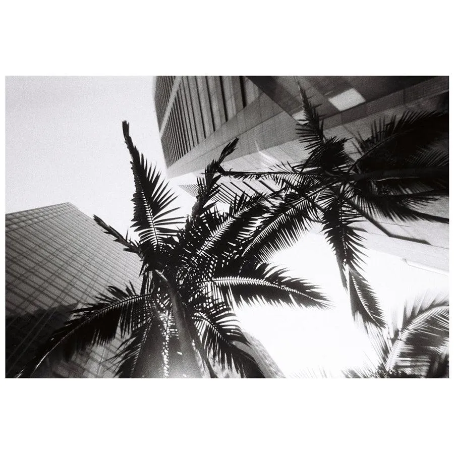 LOMOGRAPHY Simple Use Camera 400/27 Black & White