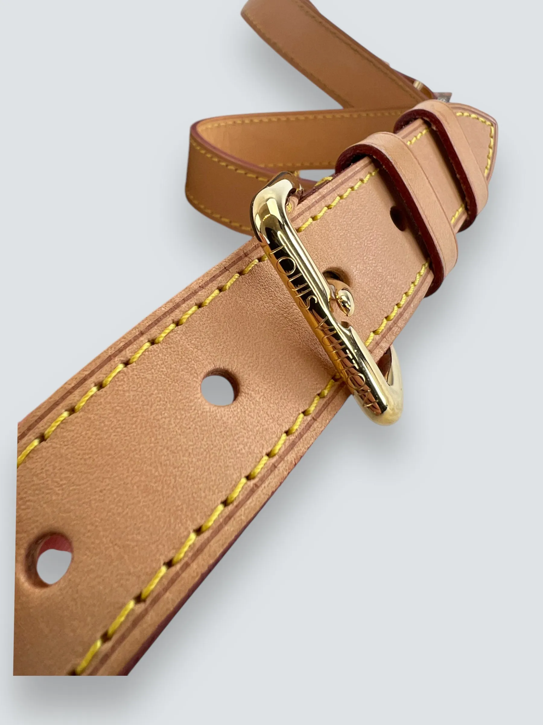 Louis Vuitton Monogram Canvas Bum Bag