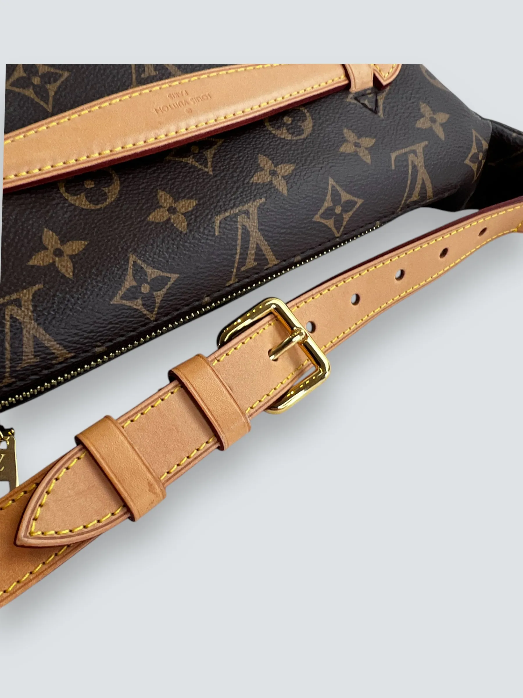 Louis Vuitton Monogram Canvas Bum Bag