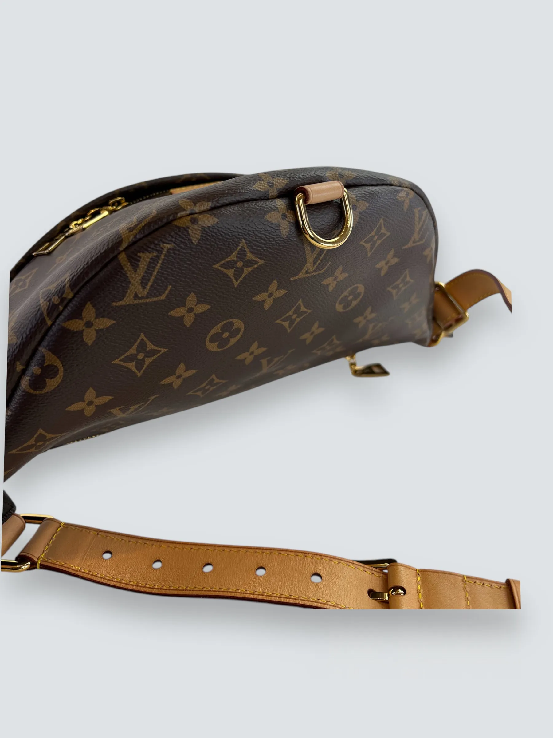 Louis Vuitton Monogram Canvas Bum Bag