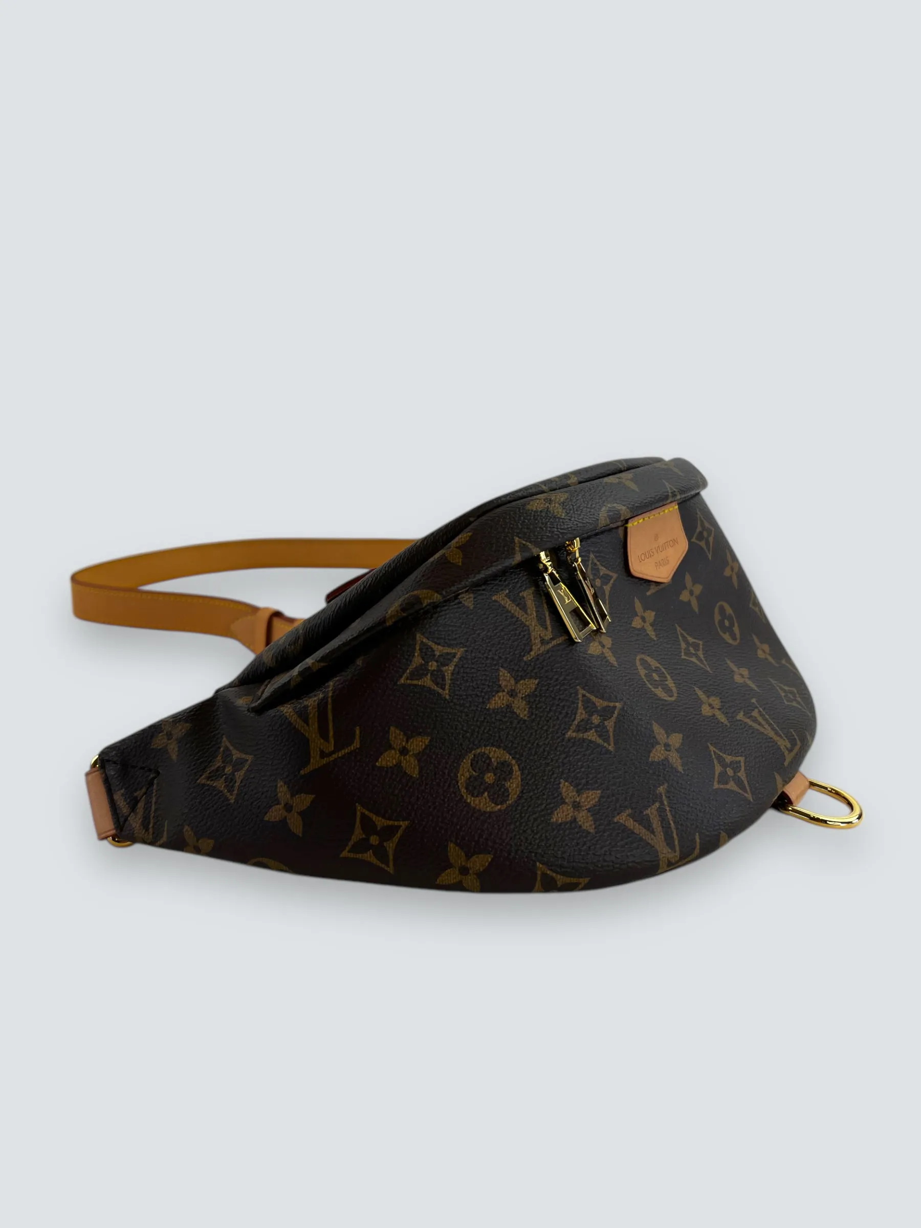 Louis Vuitton Monogram Canvas Bum Bag