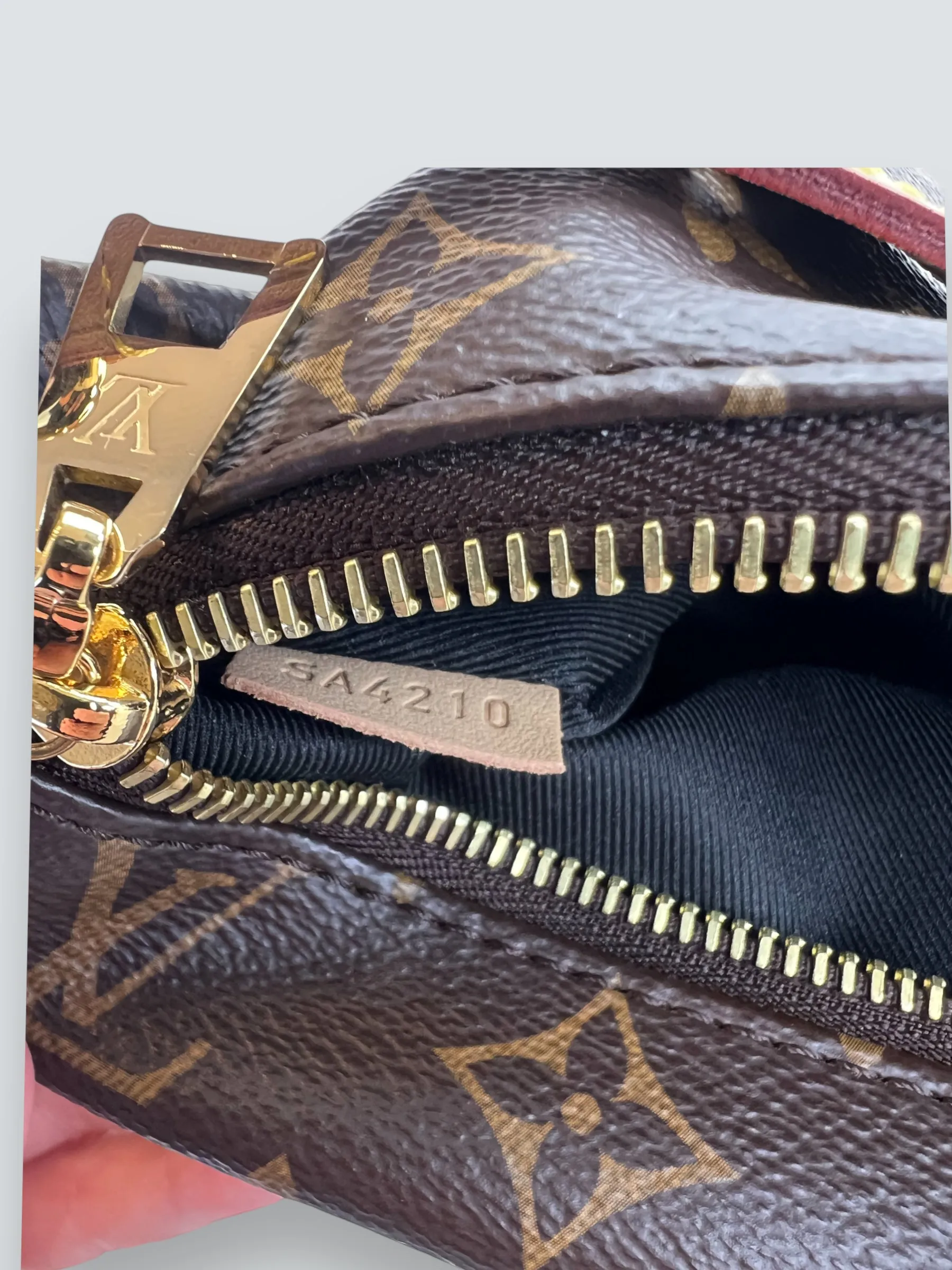 Louis Vuitton Monogram Canvas Bum Bag