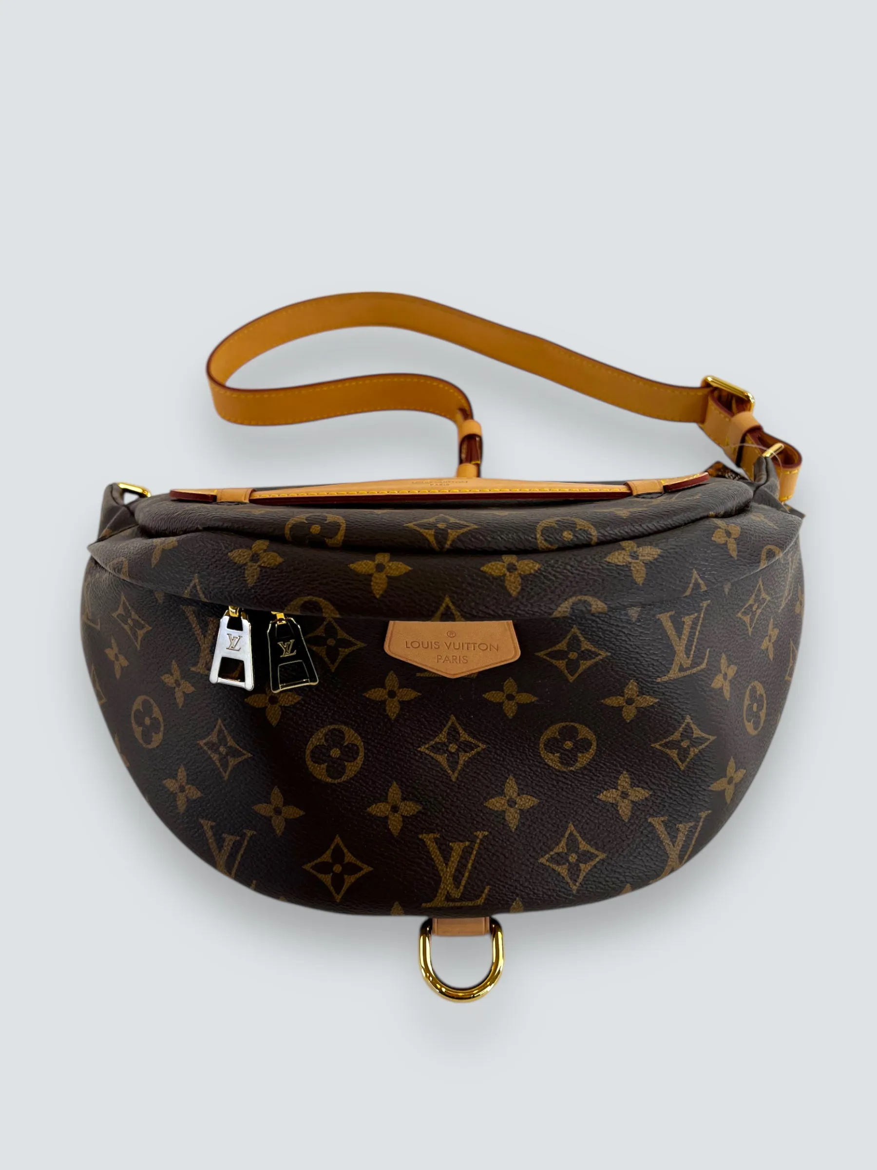 Louis Vuitton Monogram Canvas Bum Bag