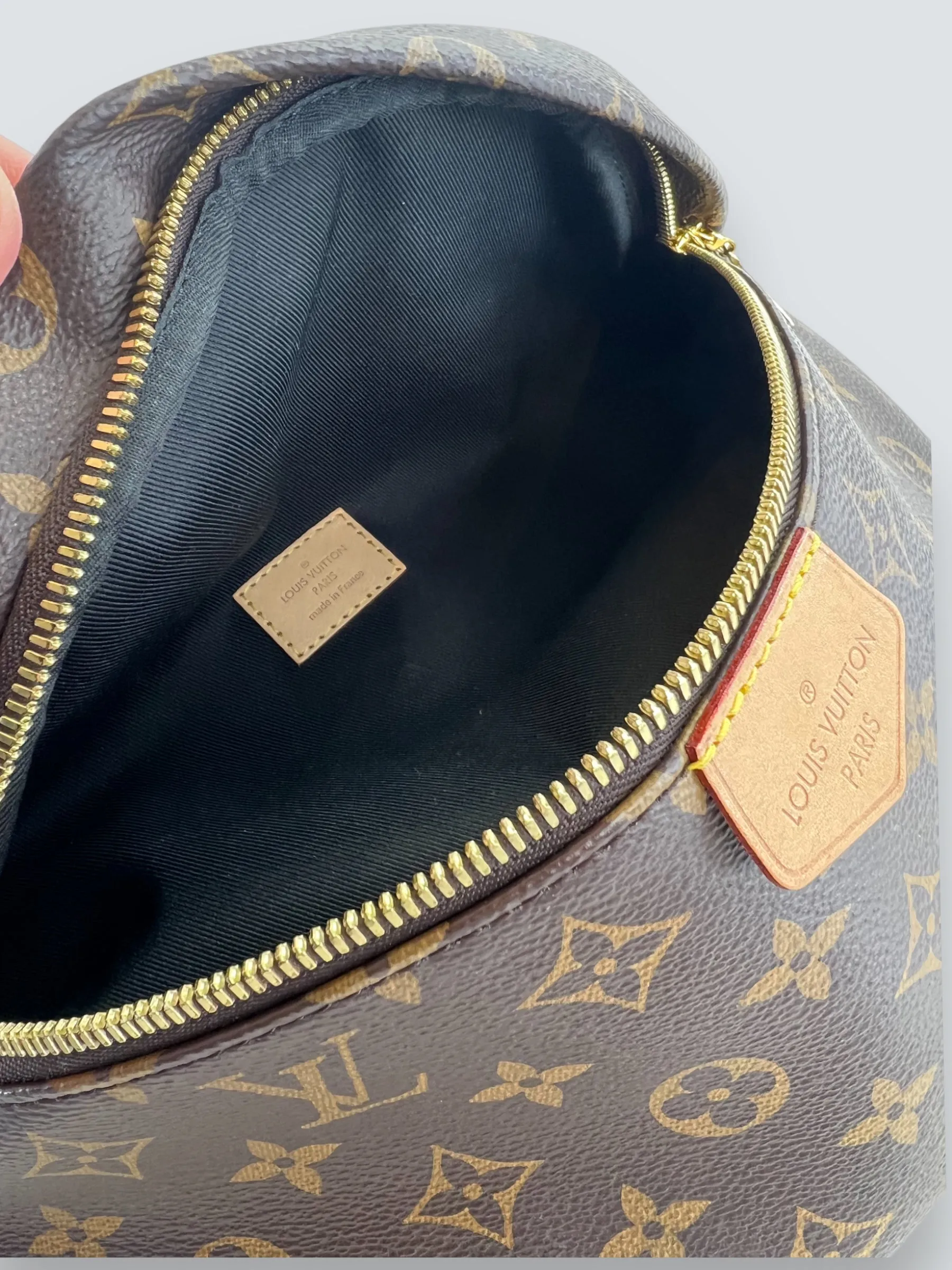 Louis Vuitton Monogram Canvas Bum Bag