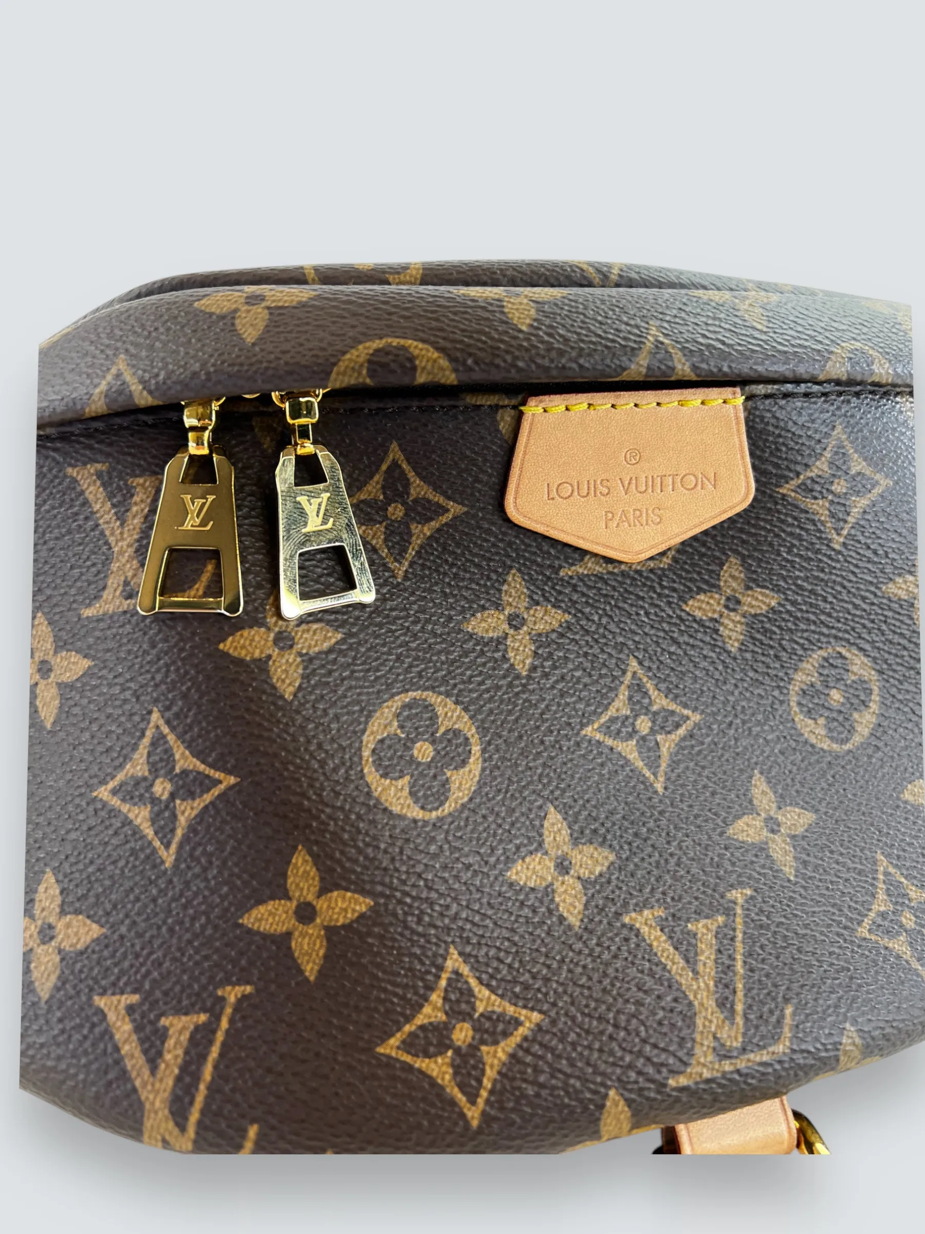 Louis Vuitton Monogram Canvas Bum Bag