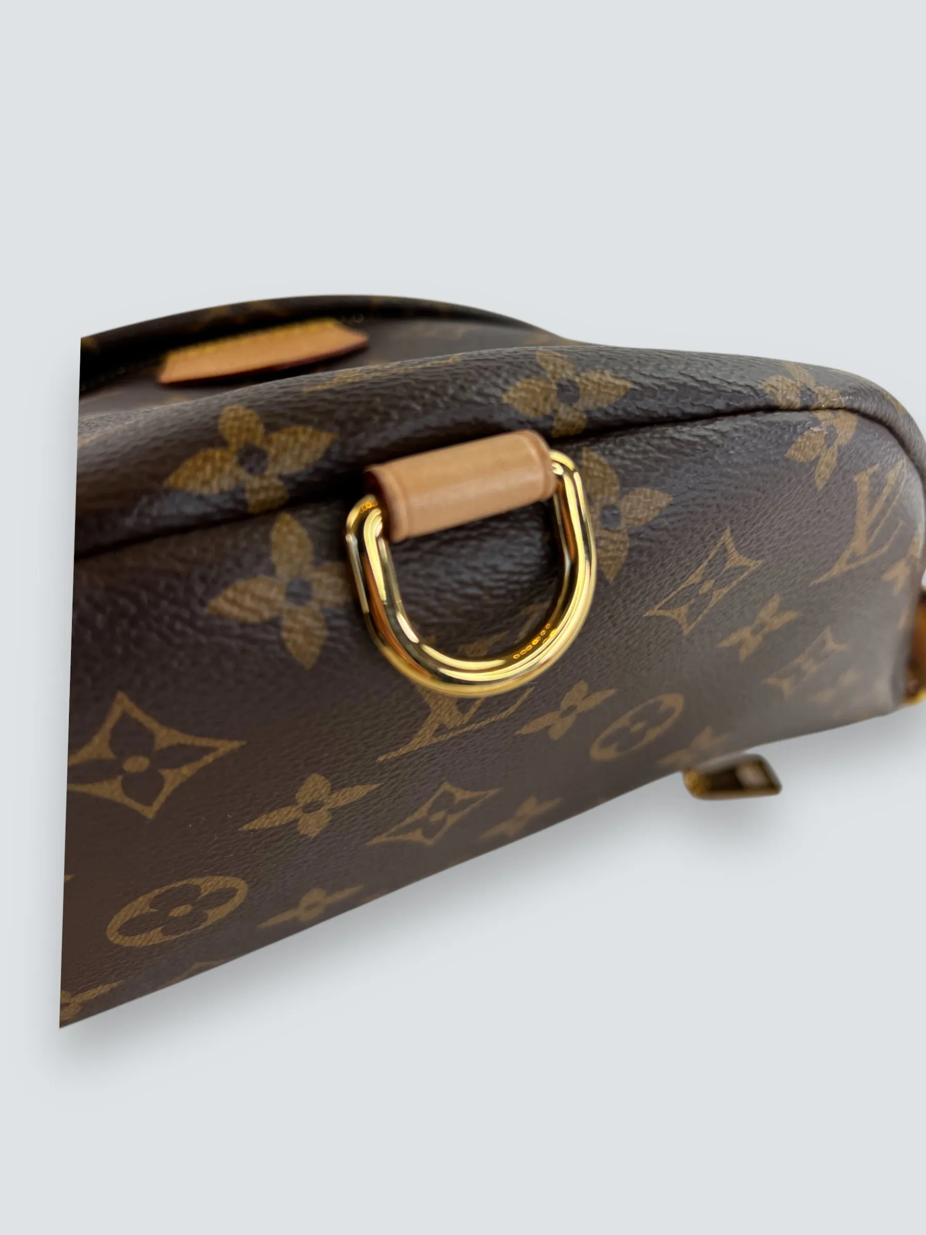 Louis Vuitton Monogram Canvas Bum Bag
