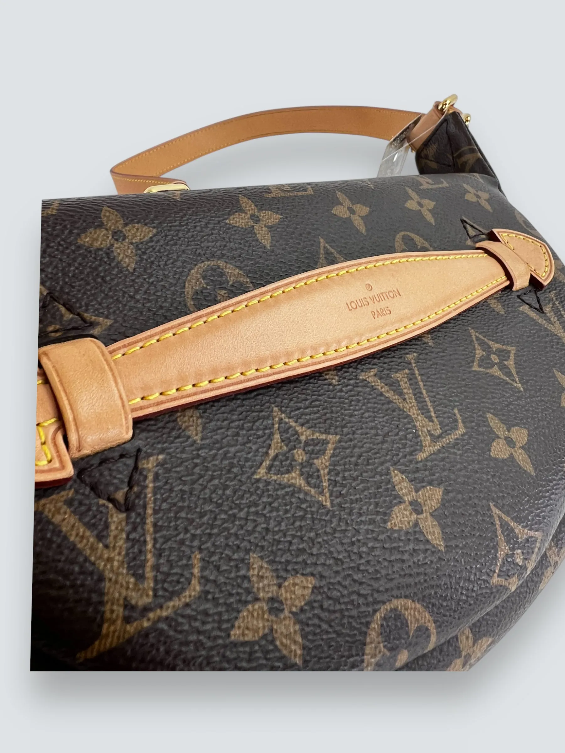 Louis Vuitton Monogram Canvas Bum Bag