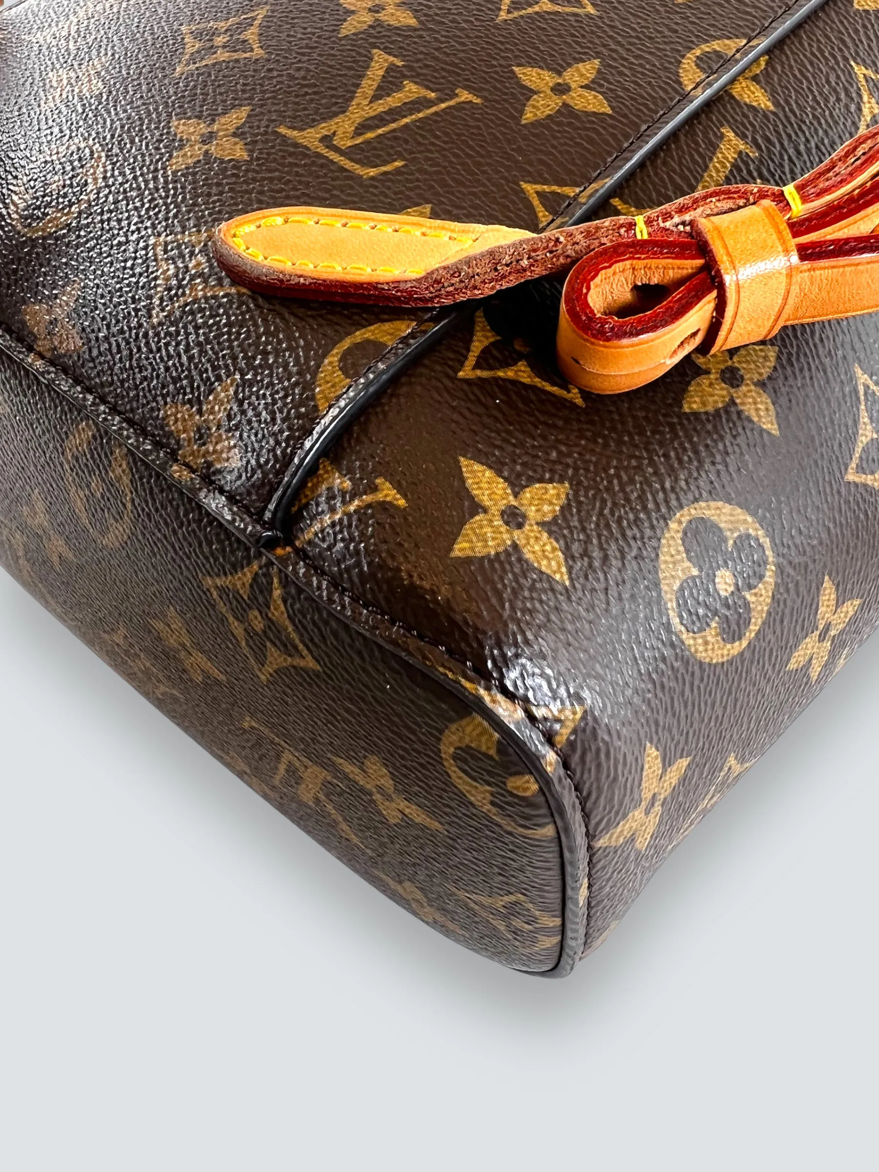 Louis Vuitton Monogram Canvas Montsouris Backpack