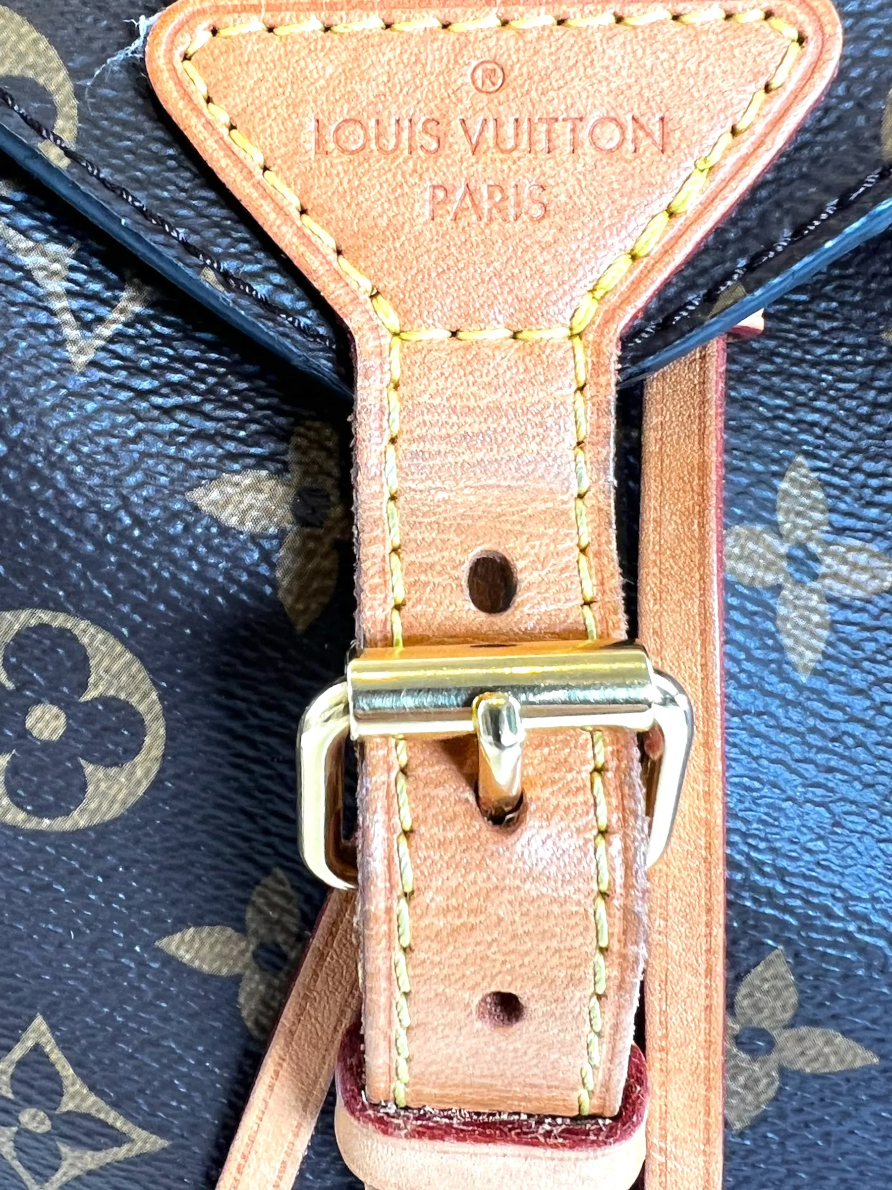 Louis Vuitton Monogram Canvas Montsouris Backpack