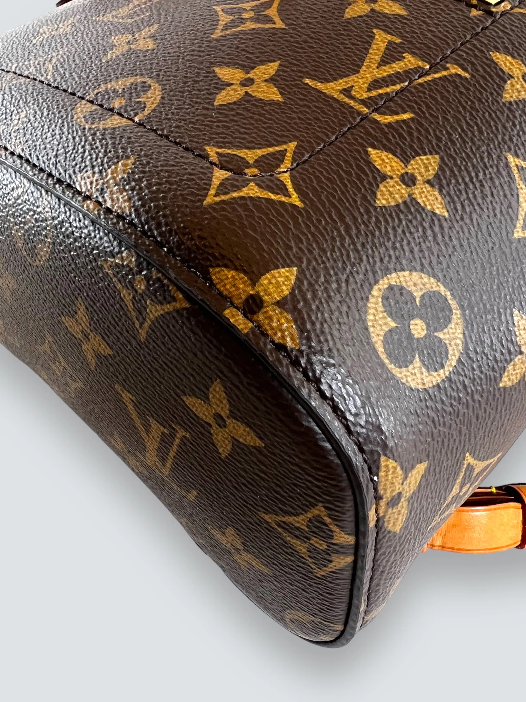Louis Vuitton Monogram Canvas Montsouris Backpack