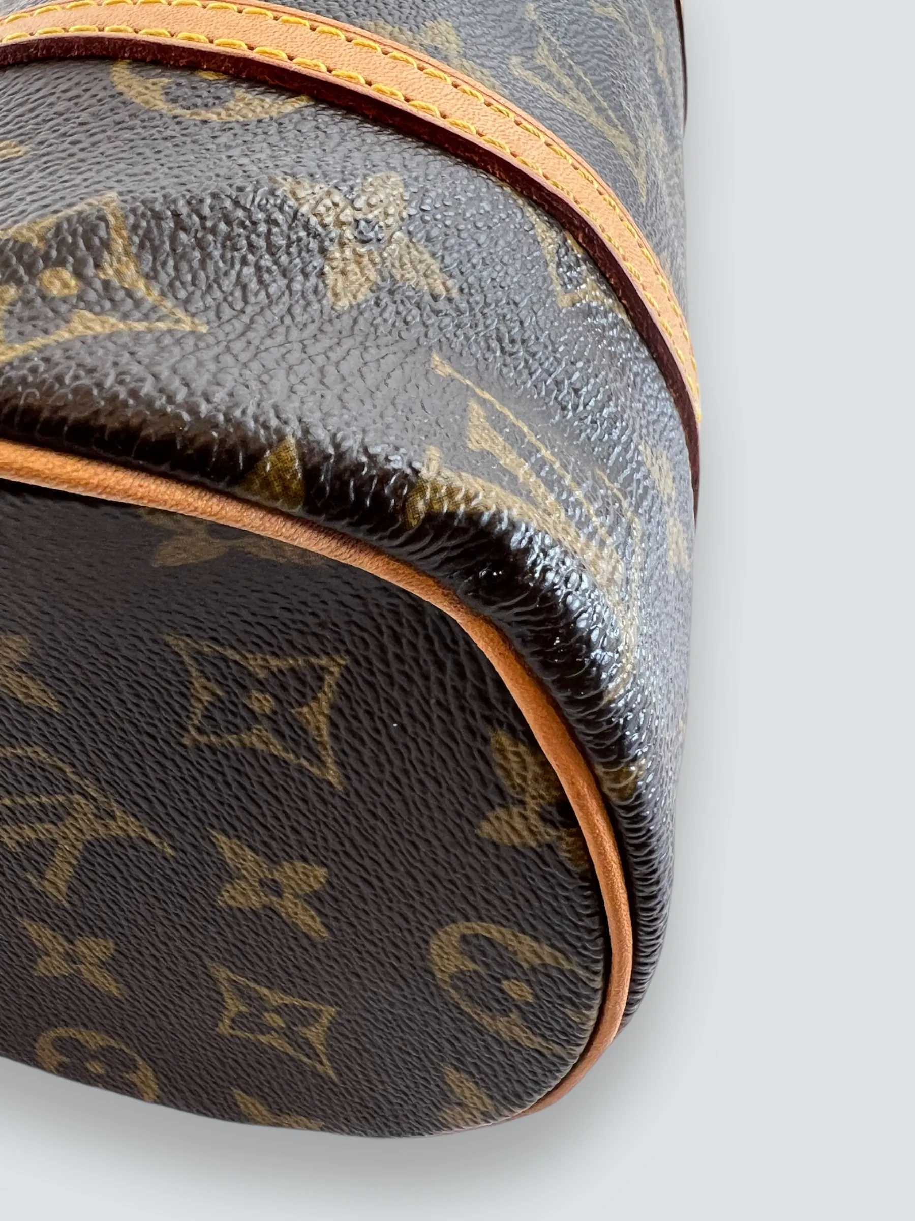 Louis Vuitton Monogram Canvas Papillon Barrell Tote