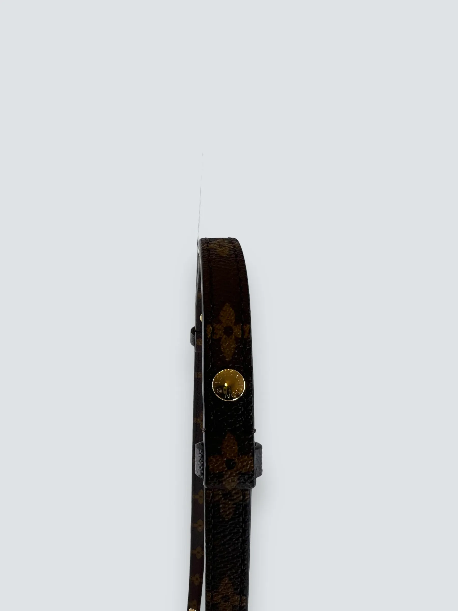 Louis Vuitton Monogram Canvas Pochette Métis East West