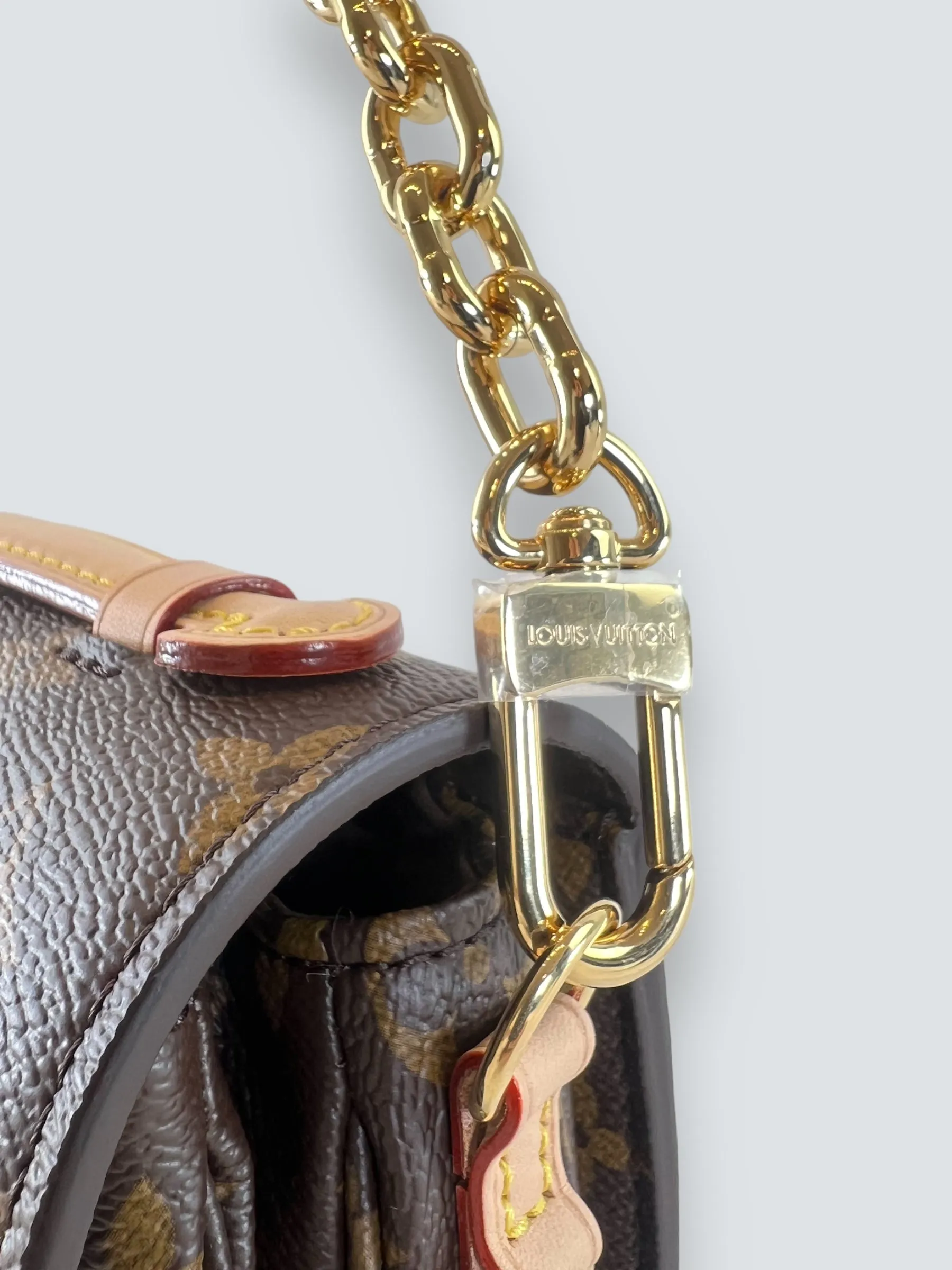 Louis Vuitton Monogram Canvas Pochette Métis East West