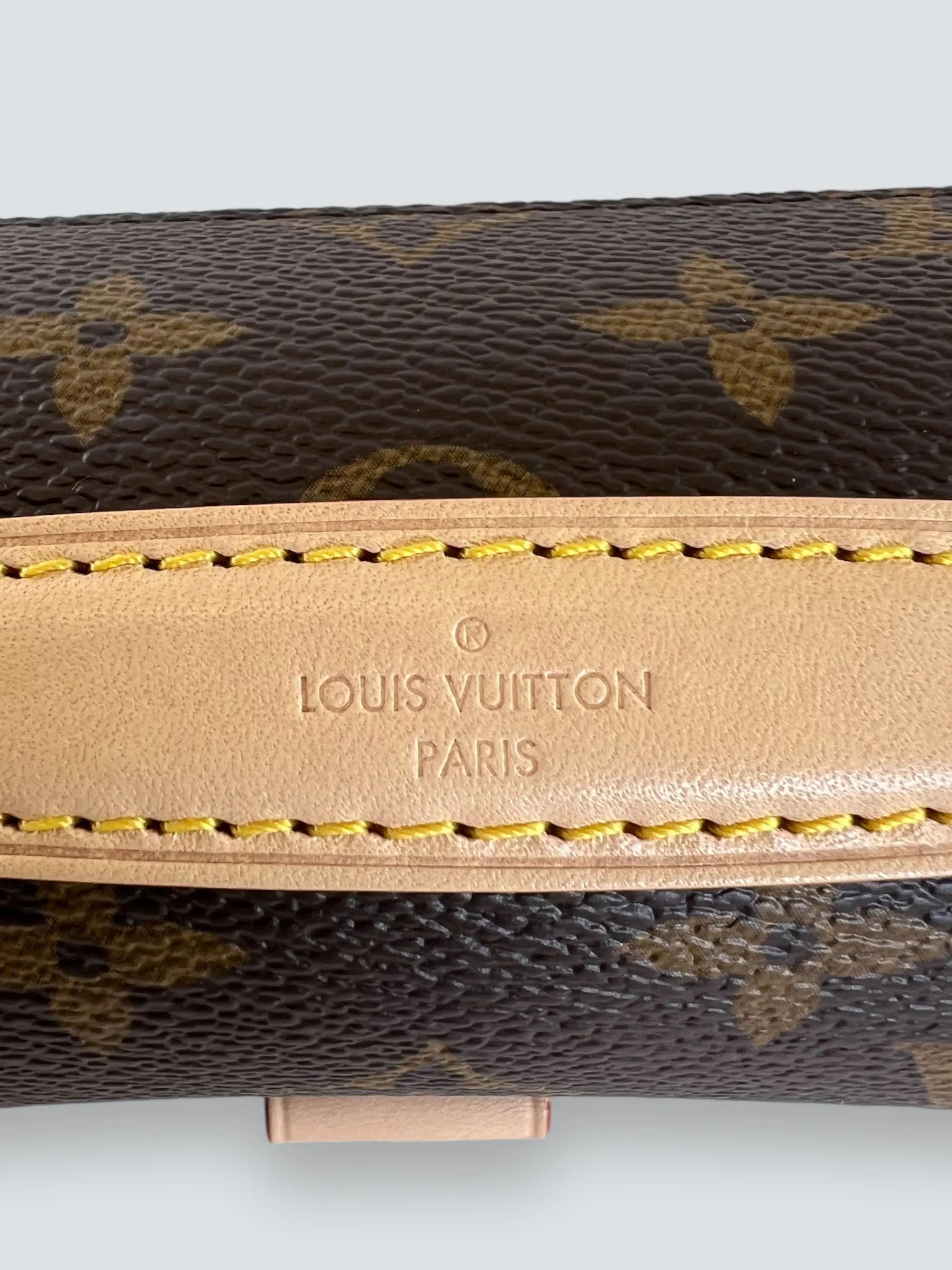 Louis Vuitton Monogram Canvas Pochette Métis East West