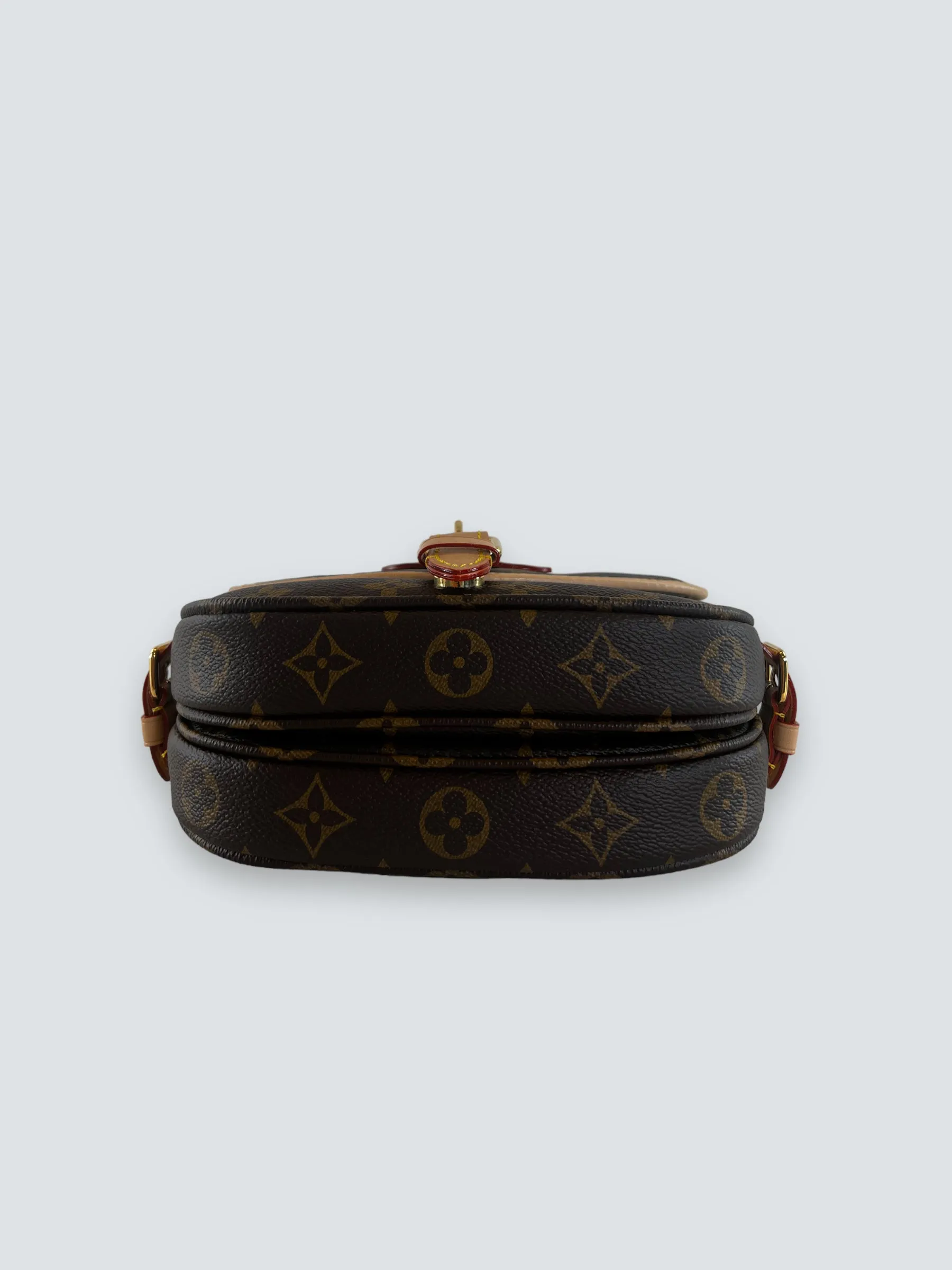 Louis Vuitton Monogram Canvas Saumur BB Crossbody