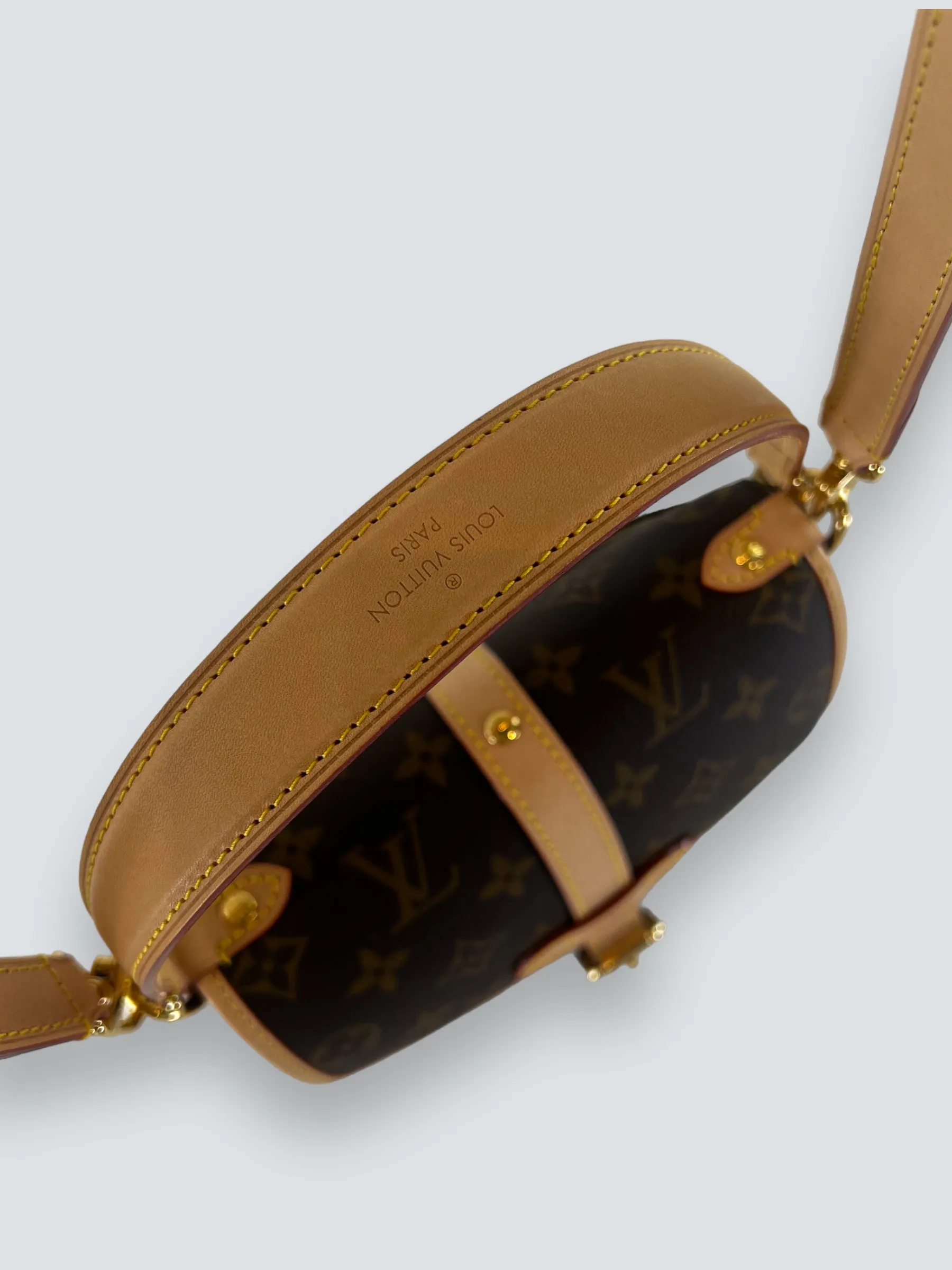 Louis Vuitton Monogram Canvas Saumur BB Crossbody