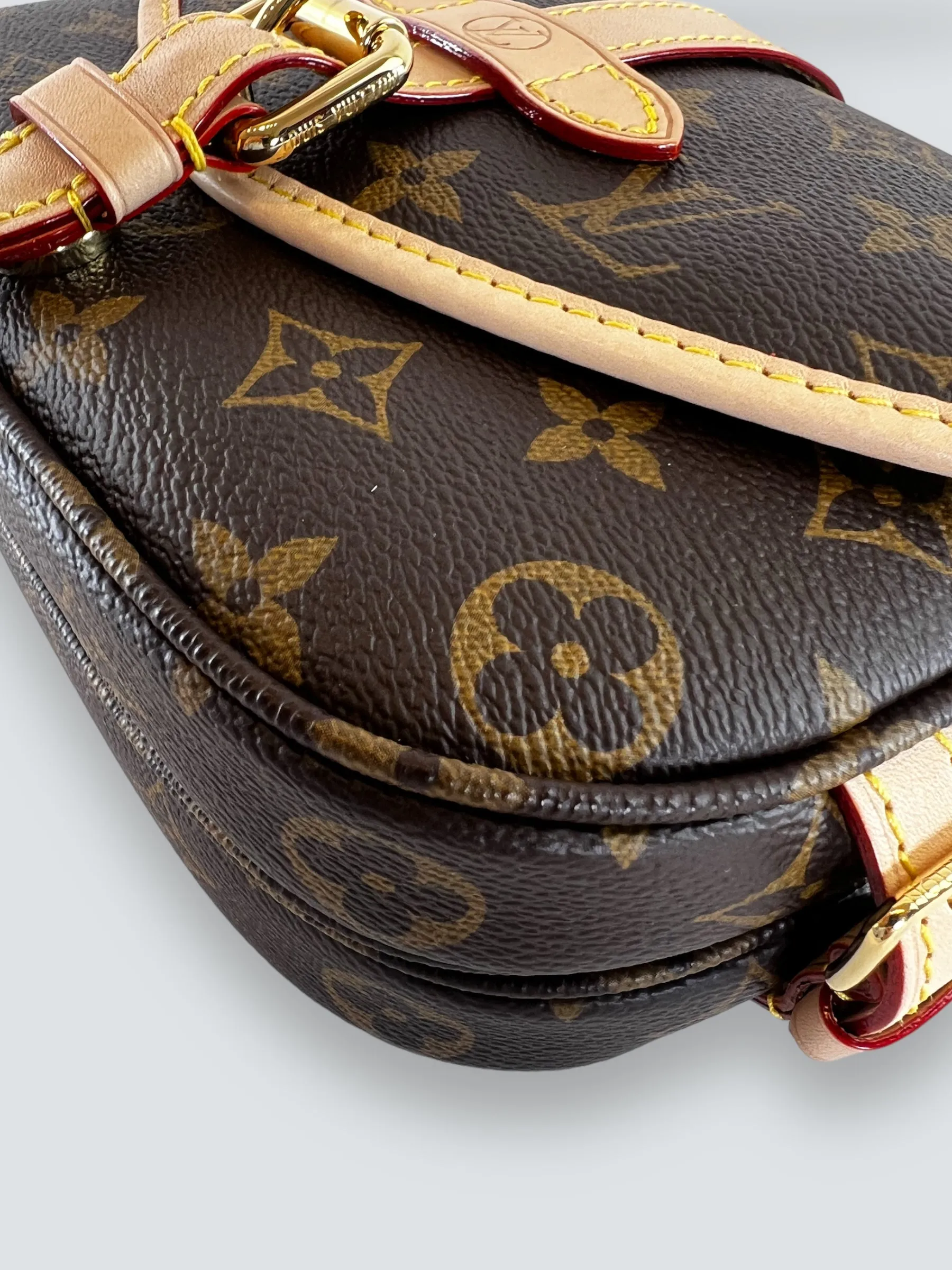 Louis Vuitton Monogram Canvas Saumur BB Crossbody