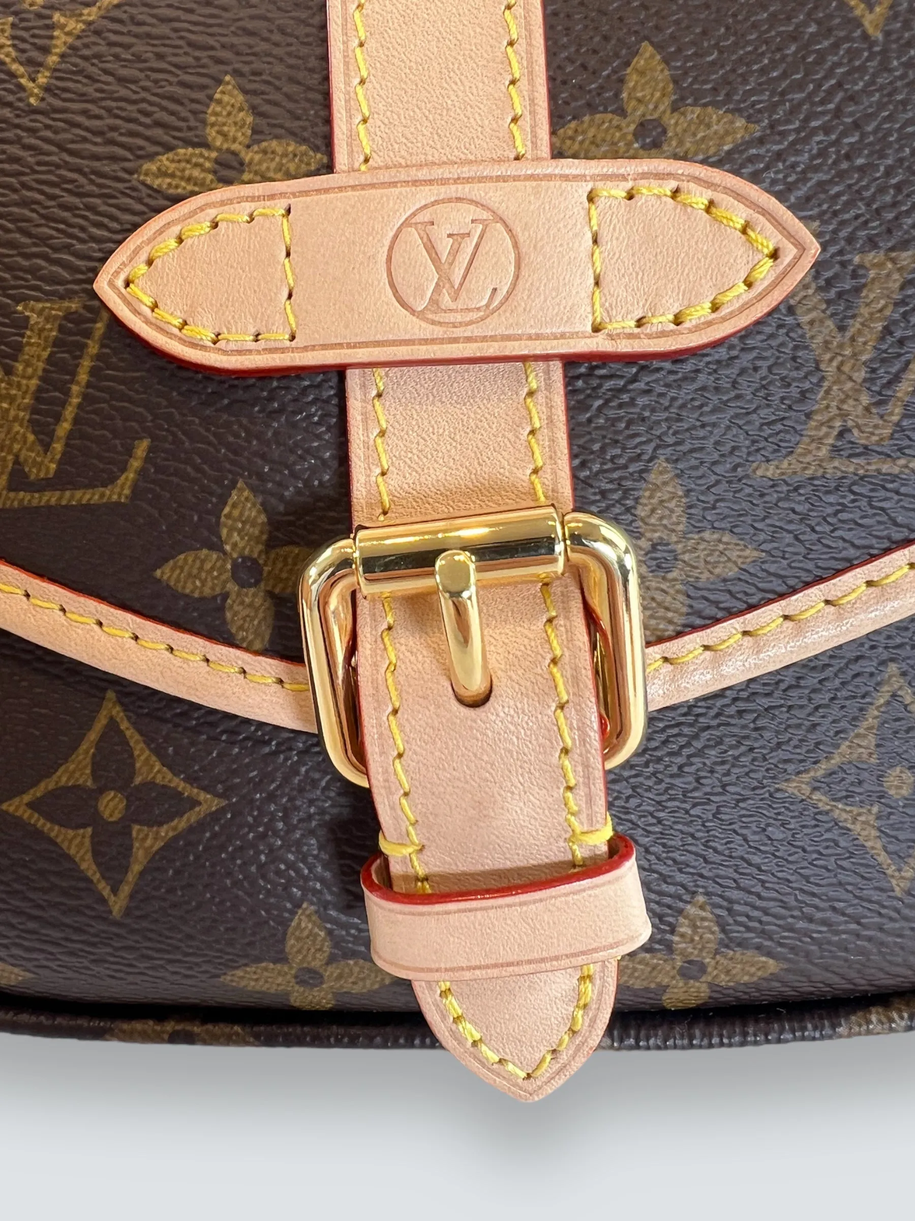 Louis Vuitton Monogram Canvas Saumur BB Crossbody