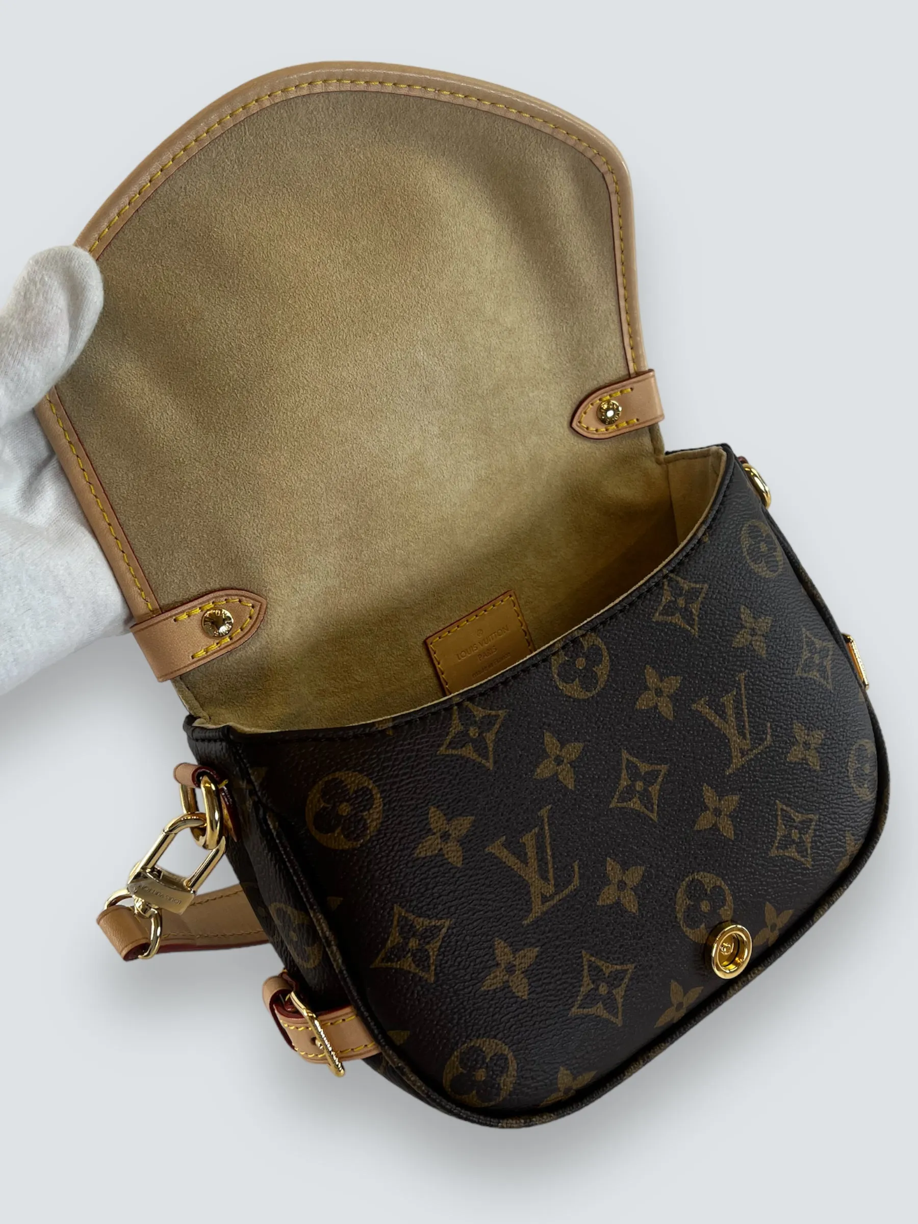 Louis Vuitton Monogram Canvas Saumur BB Crossbody