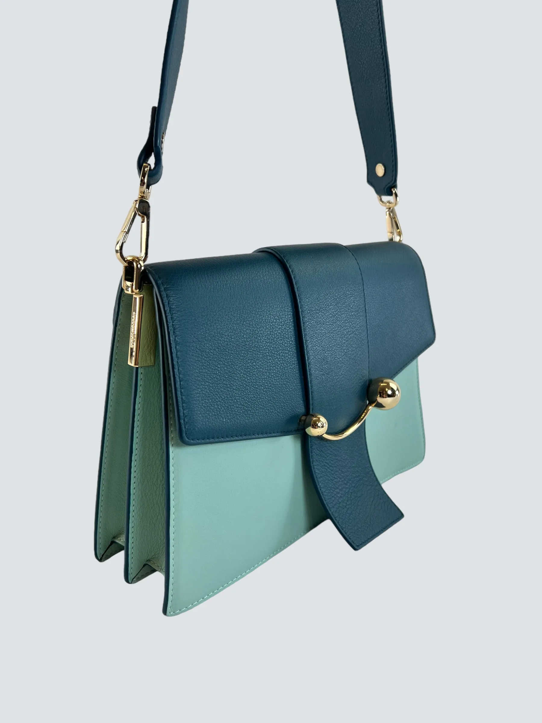Strathberry Scotland Mint Green and Teal Leather Crescent Shoulder Bag